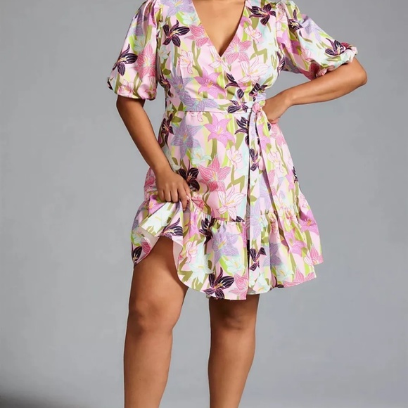 Anthropologie X Hutch Puff-Sleeve Dress SZ 1X - Picture 1 of 4